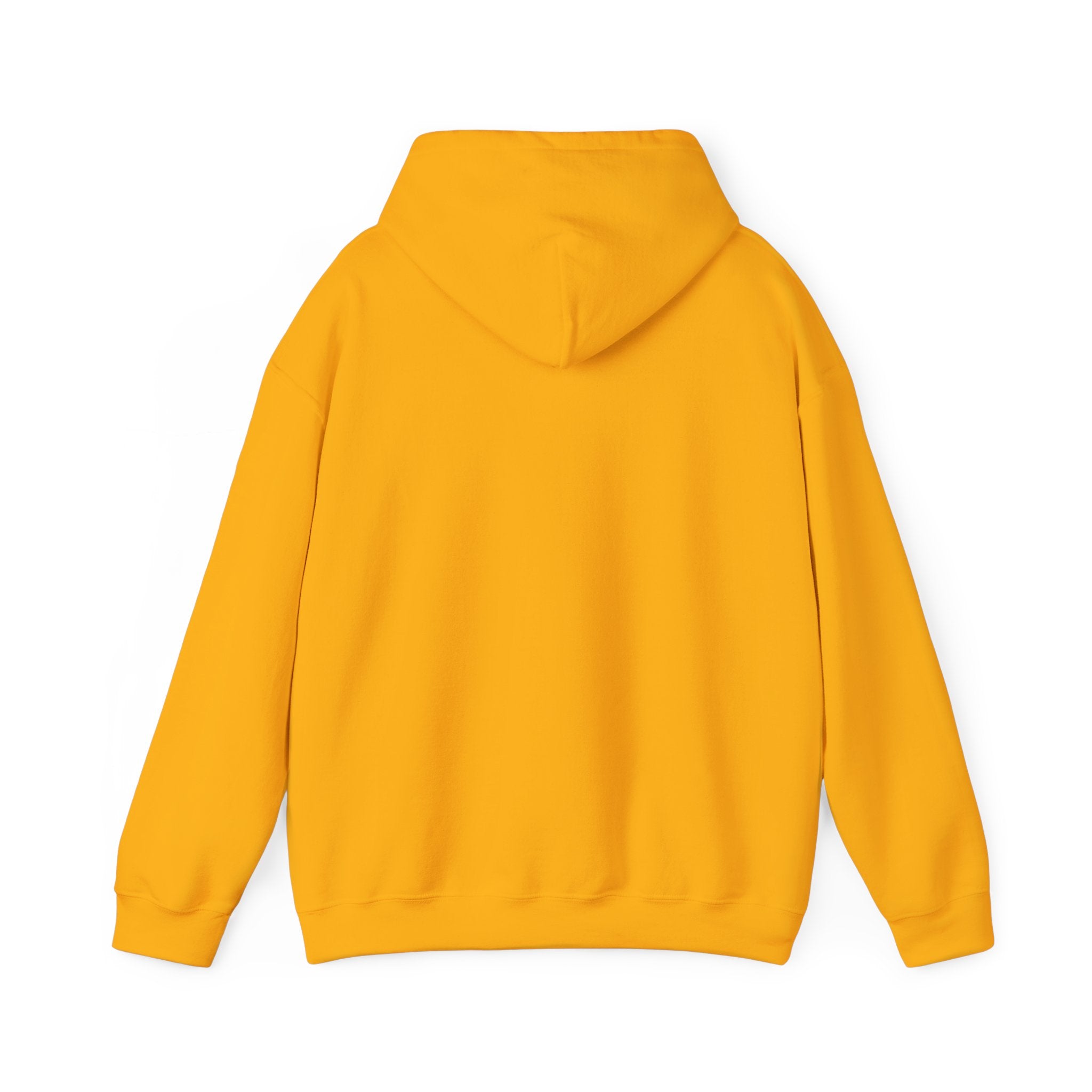 Original Colorful Damaged Hoodie