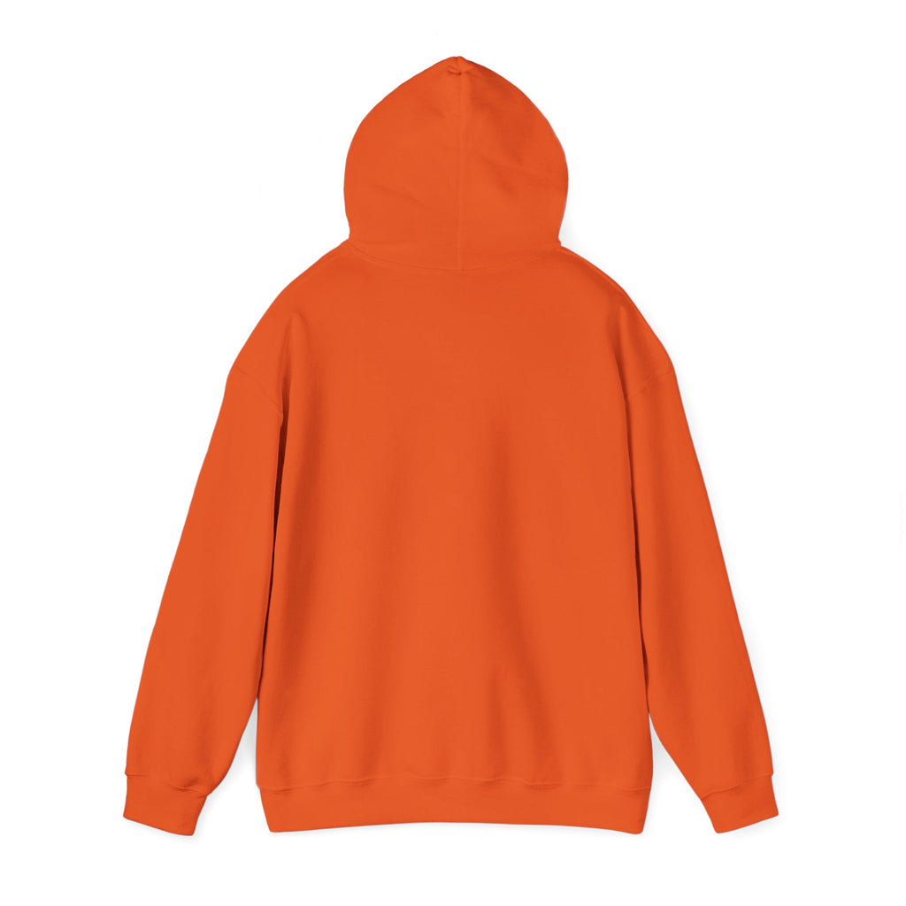 Original Colorful Damaged Hoodie
