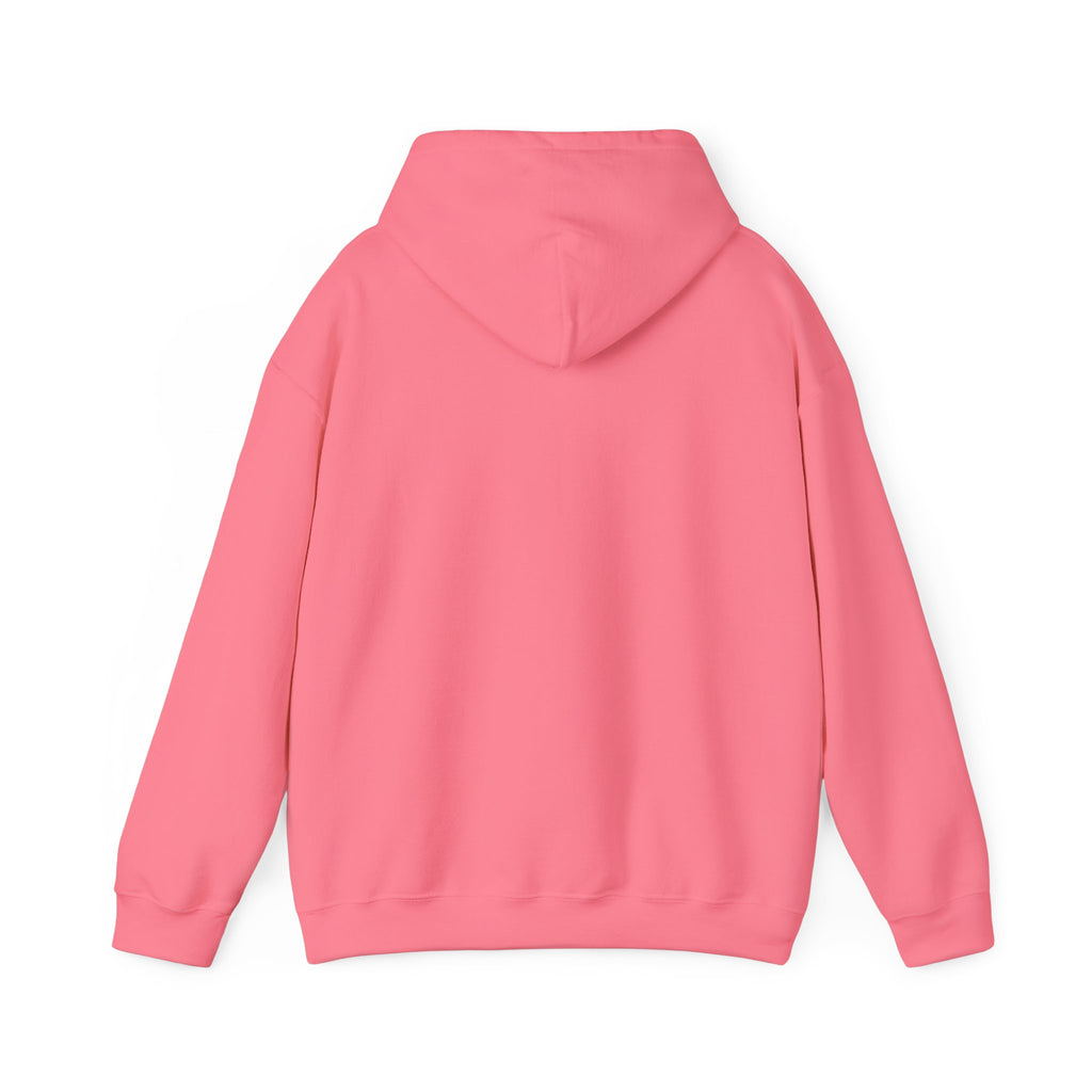 Original Colorful Damaged Hoodie