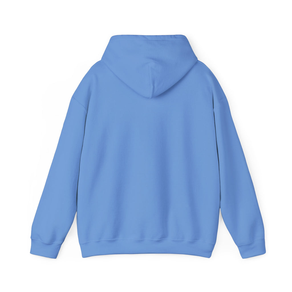 Original Colorful Damaged Hoodie