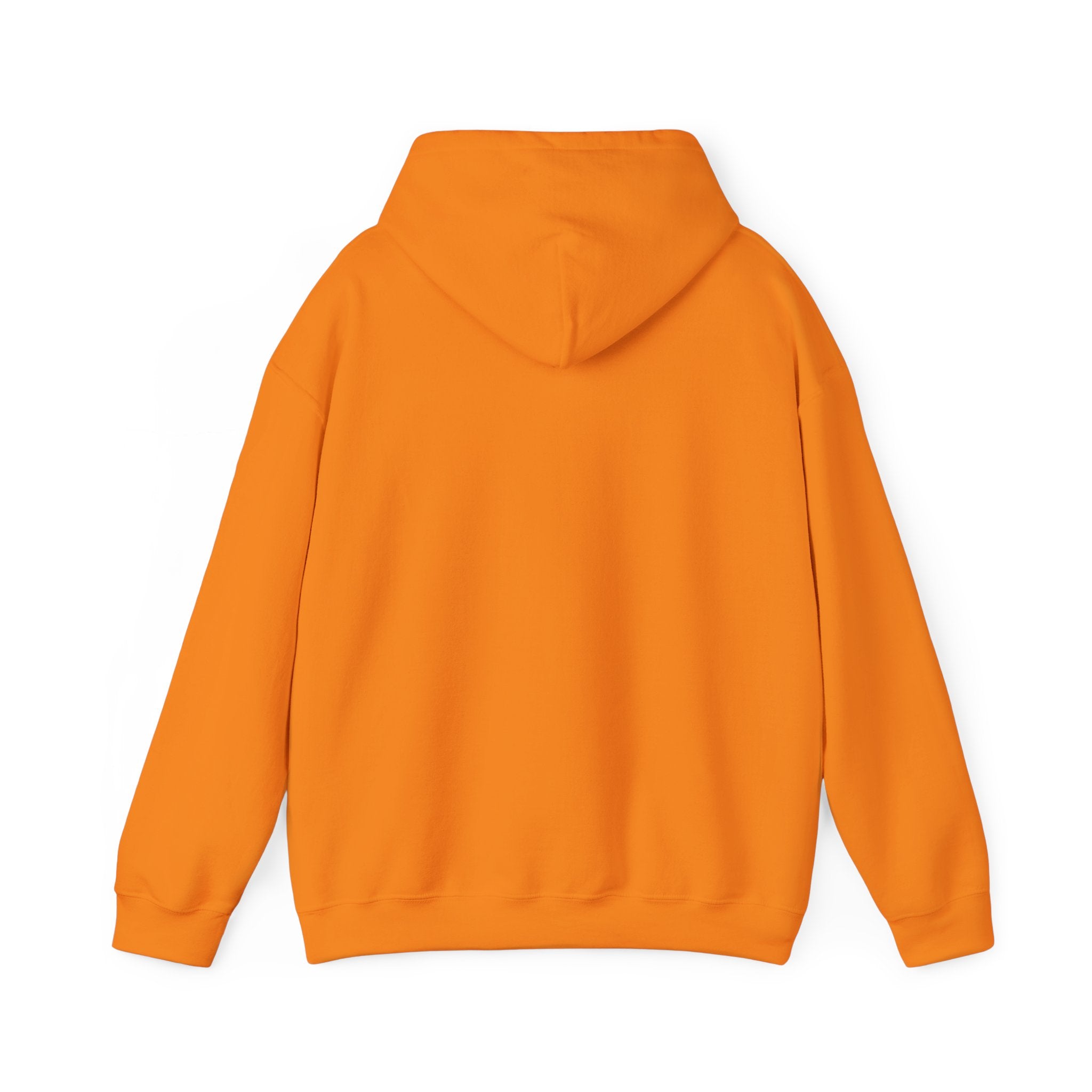 Original Colorful Damaged Hoodie