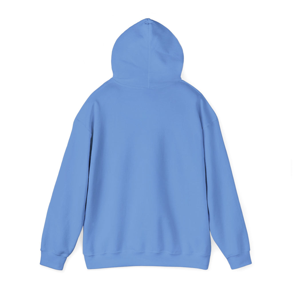 Original Colorful Damaged Hoodie