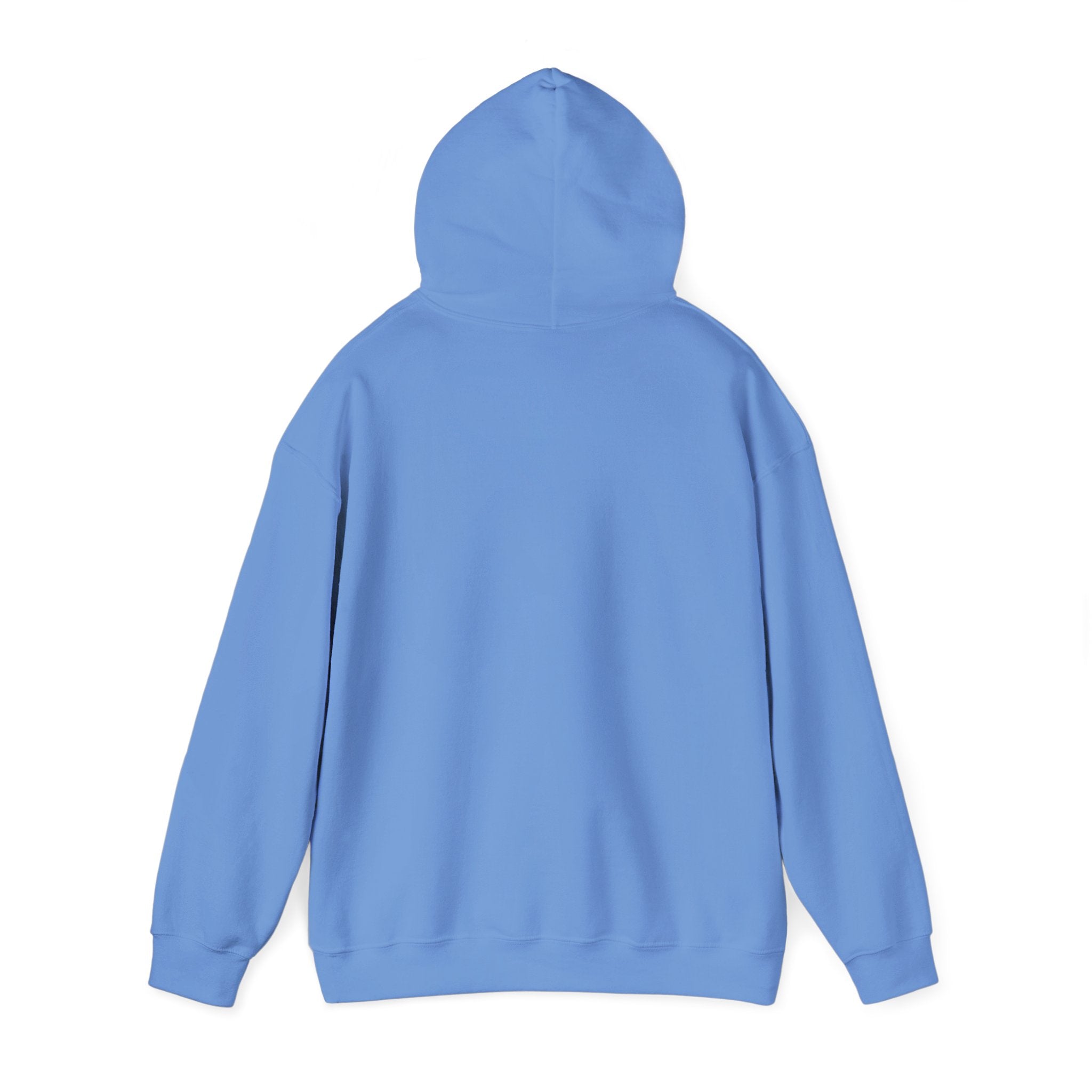Original Colorful Damaged Hoodie